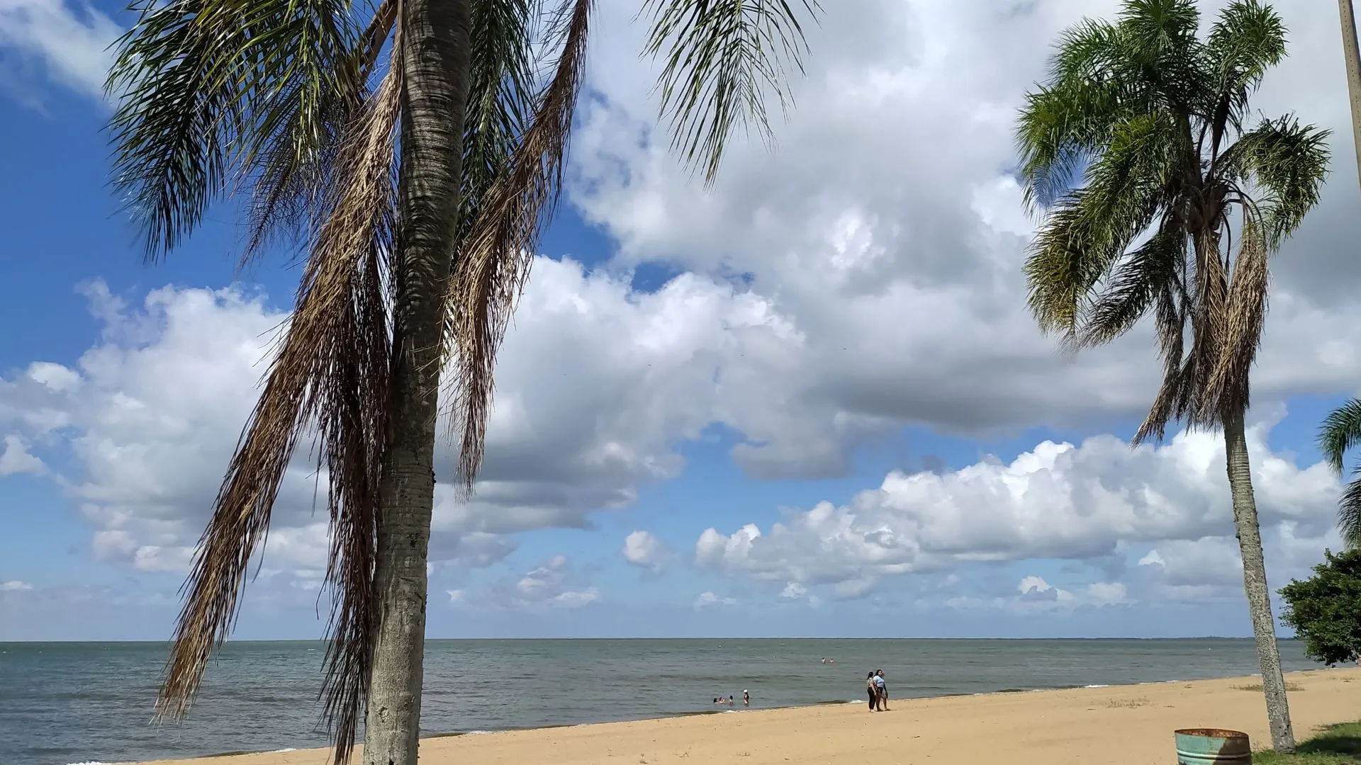Arambare na Costa Doce do RS Foto Rosana Klafke Blog Sem Roteiro