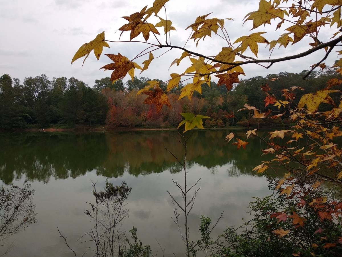Parque Witeck: a experiência em um Refúgio Natural Encantado no Rio Grande do Sul