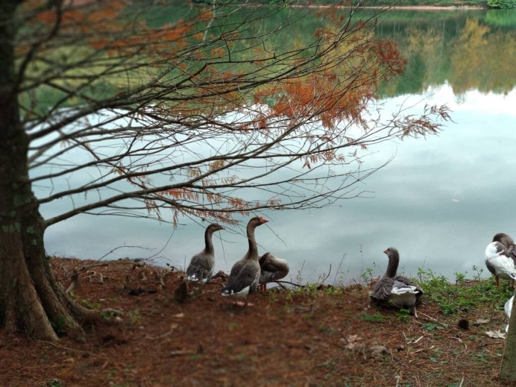 Parque Witeck: a experiência em um Refúgio Natural Encantado no Rio Grande do Sul 4 IMG 20180531 130151