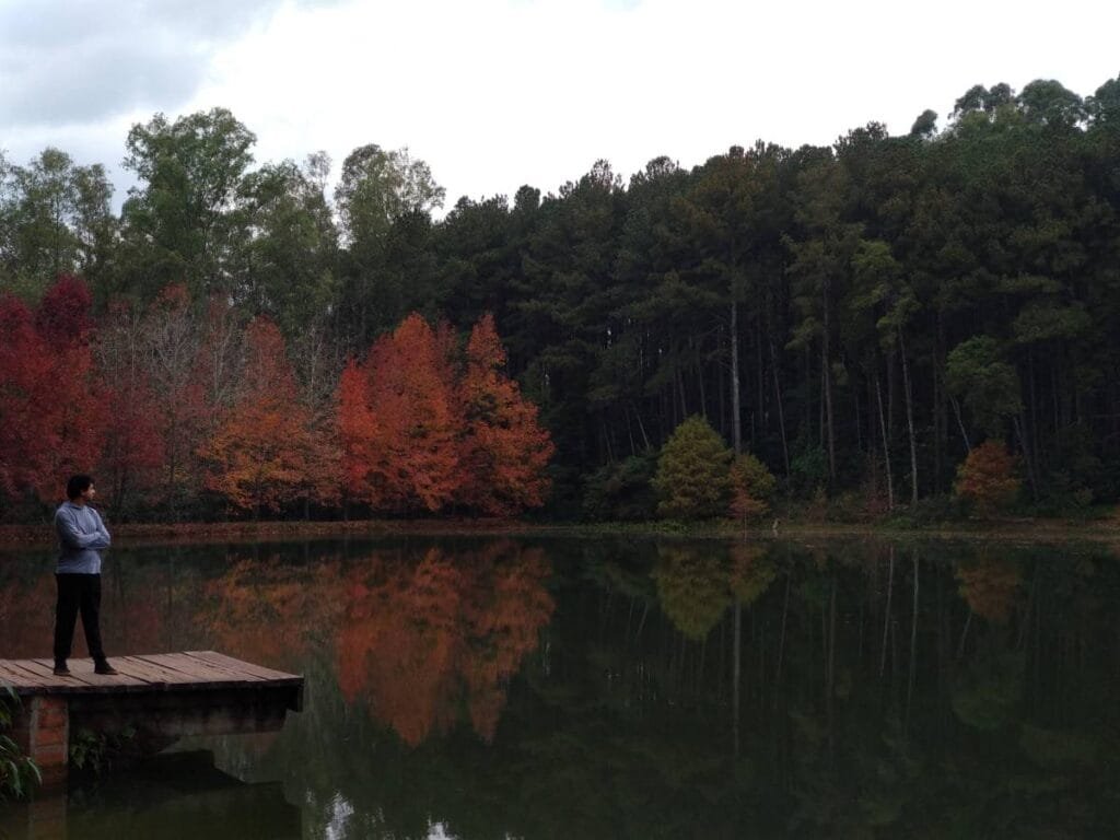Parque Witeck: a experiência em um Refúgio Natural Encantado no Rio Grande do Sul 3 IMG 20180531 132818