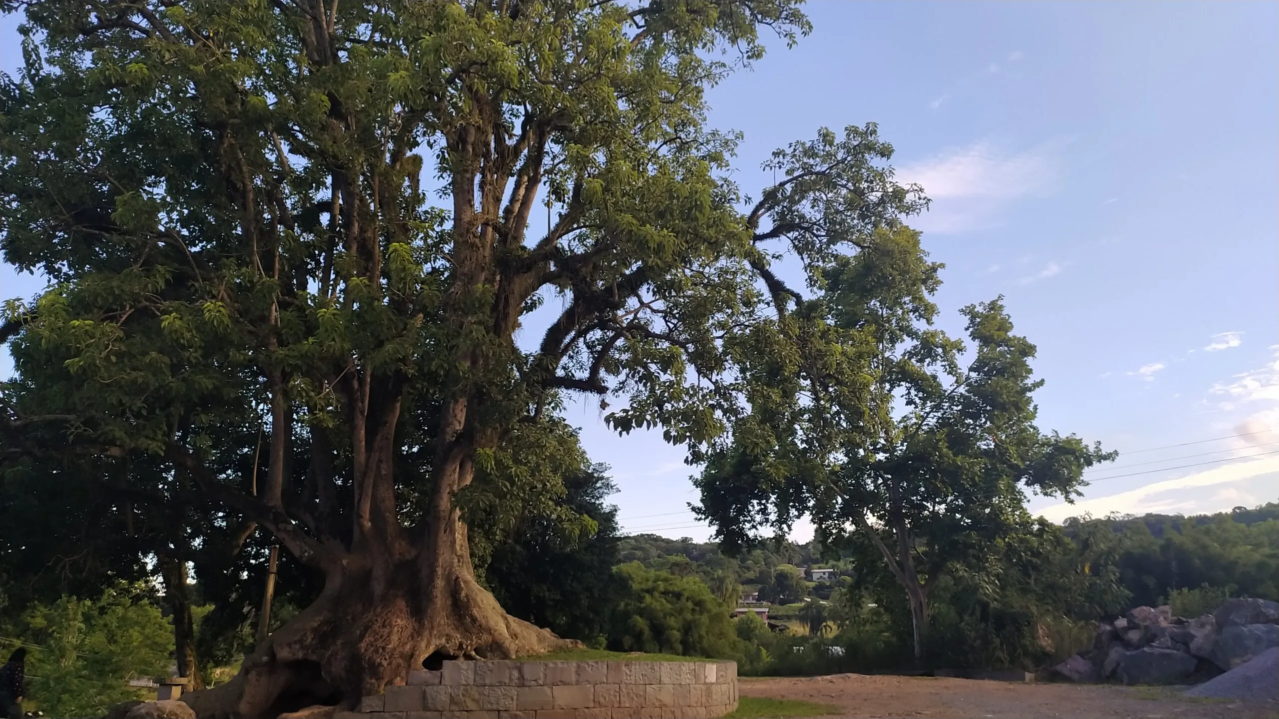 IMG 20230114 175635 scaled