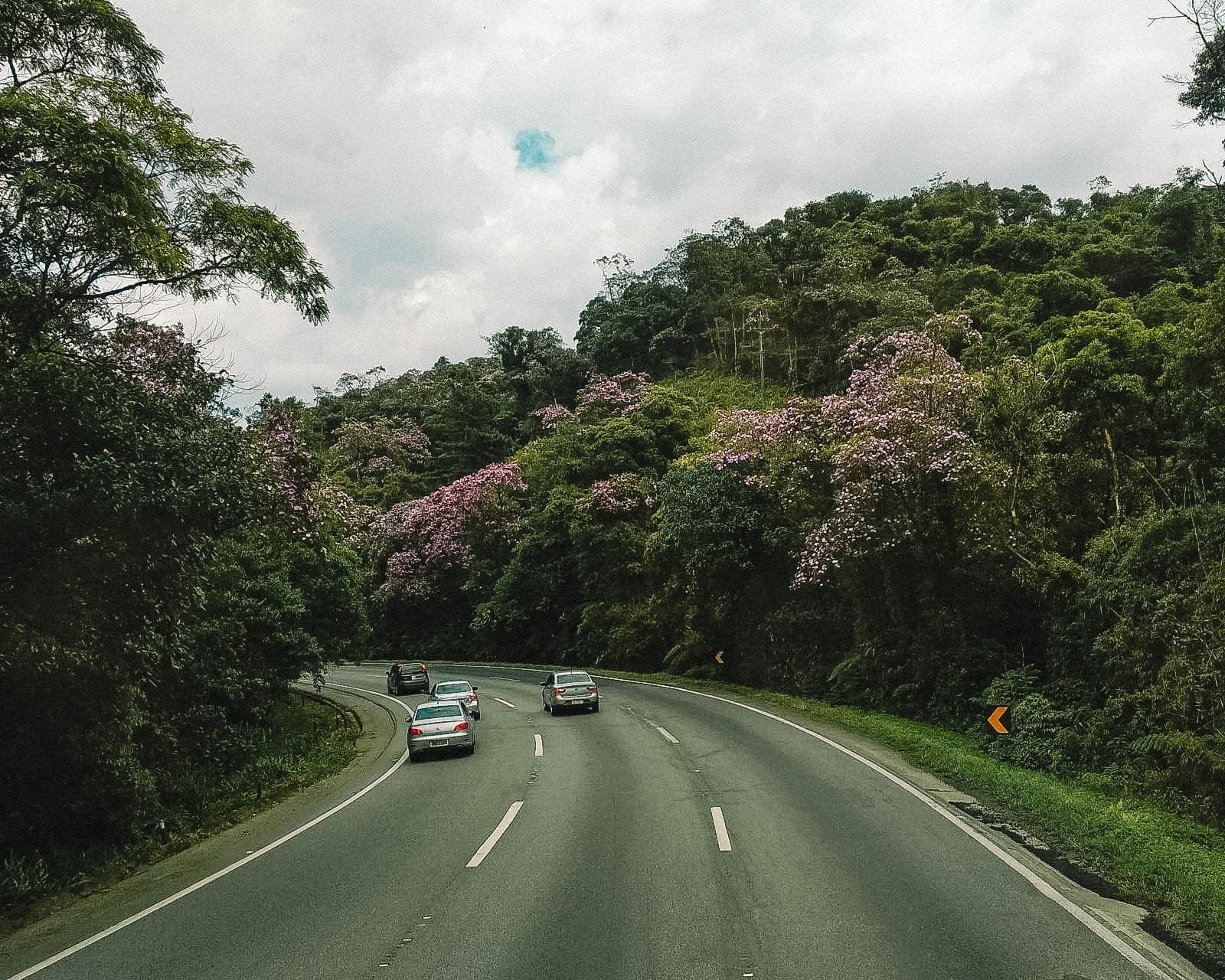 viagem de onibus curitiba Foto Sem Roteiro Rosana Klafke